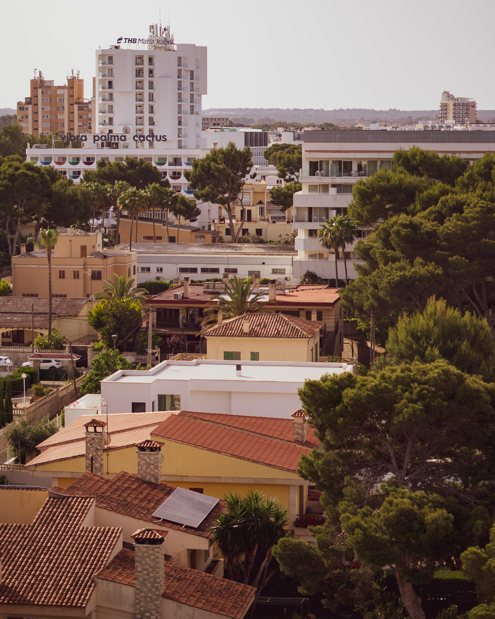 View from above of rooftops