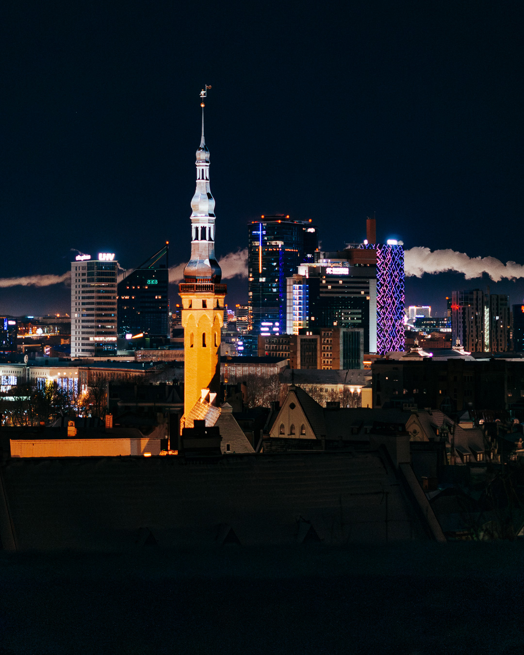 Tallinn city skyline