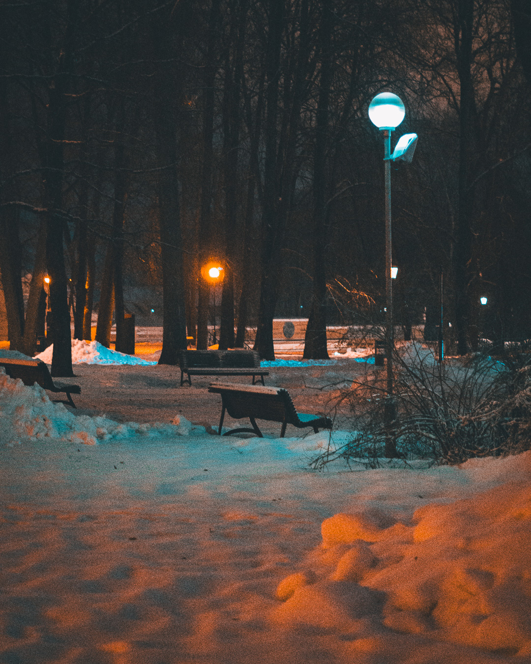 Dark snowy park with a bench in the middle of the frame